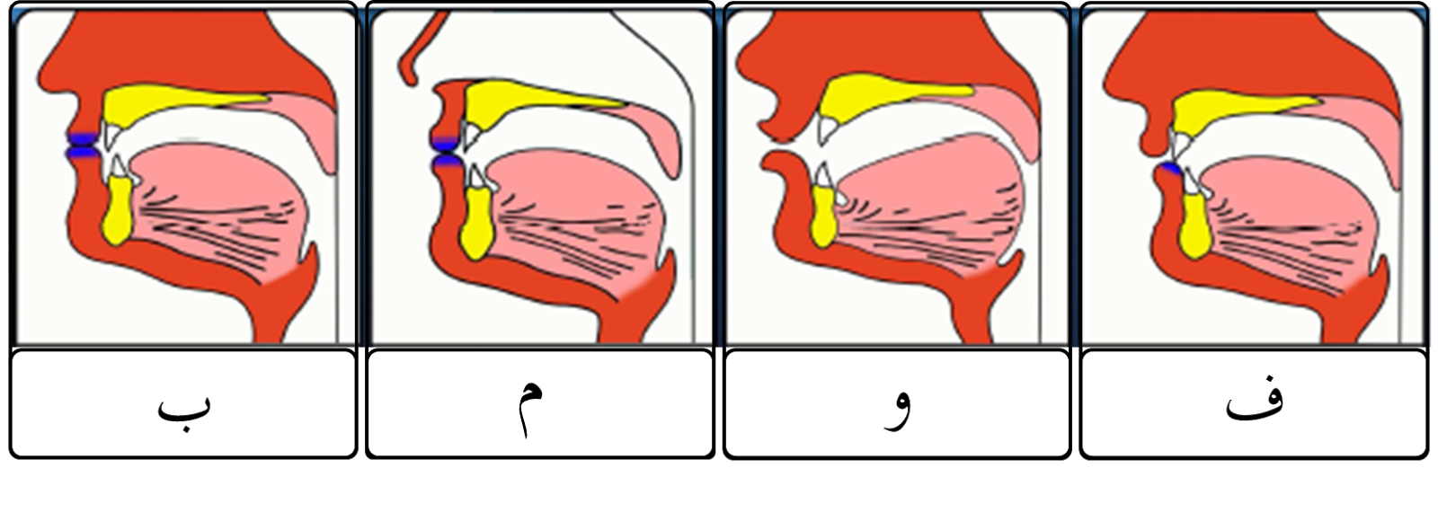 5 Macam Makhorijul Huruf Hijaiyah dan Penjelasannya - Syarihub